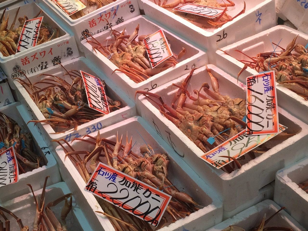 冬はブリや香箱ガニ、加能ガニが一番新鮮で美味しい季節！59945