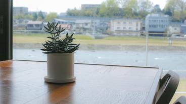 施設からの眺望 / 15