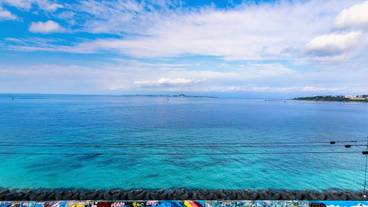 ビーチ / オーシャン ビュー / 5