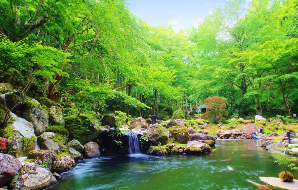 見た目も味も大満足の和食膳を。広大な庭園が魅力のお宿3493388