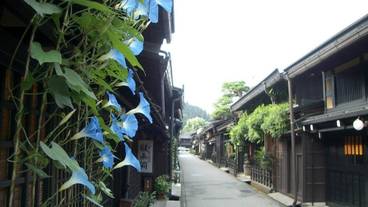 シティ ビュー / 9