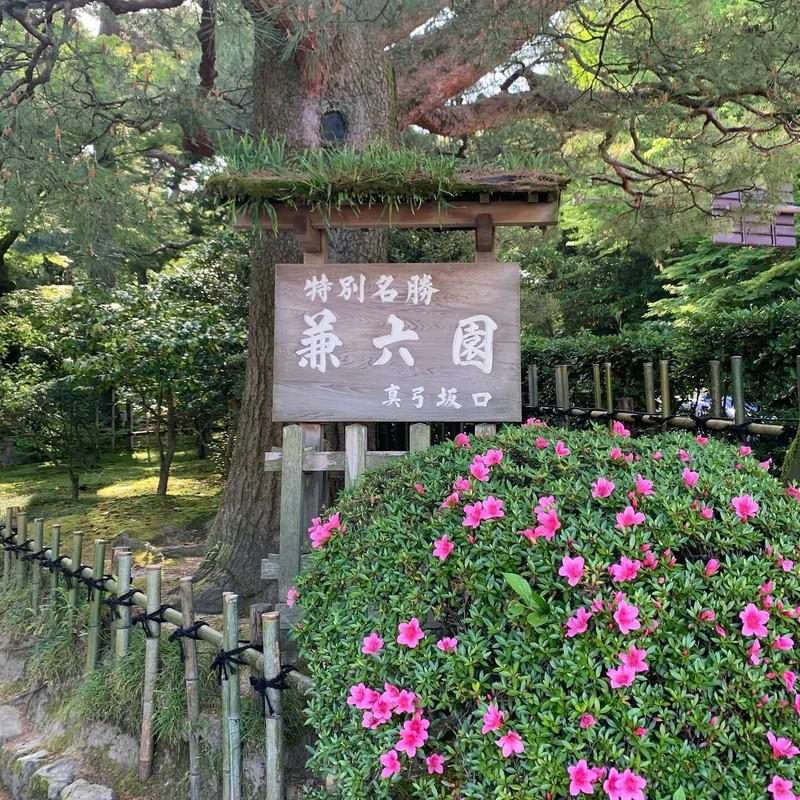 maho_latinaさんの写真 / 1