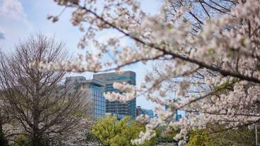 シティ ビュー / 38