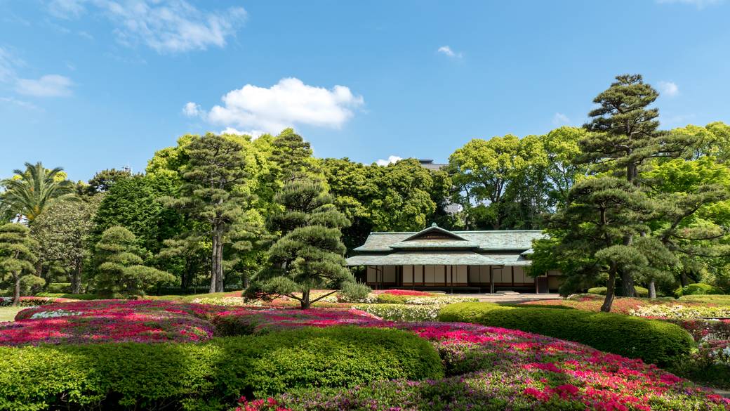 「皇居東御苑」を
まったりお散歩 / 1