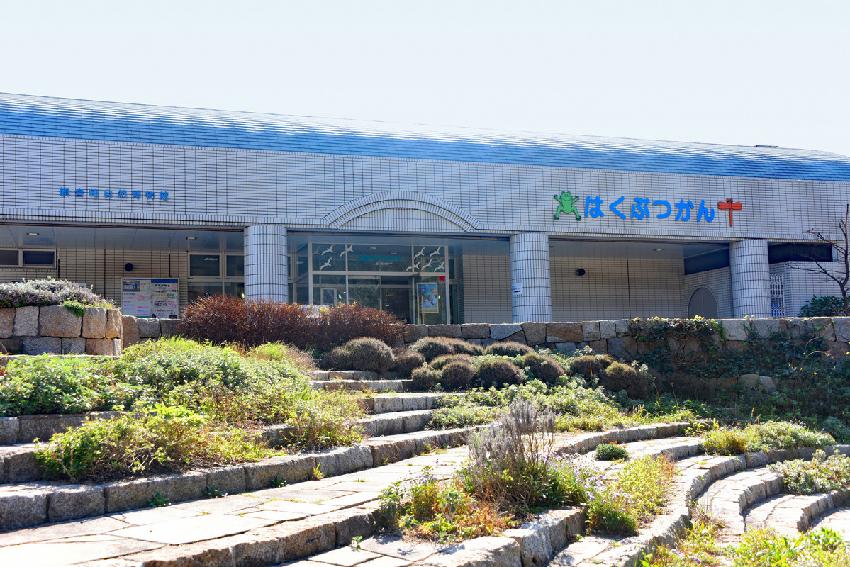 観音崎自然博物館