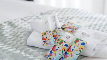 客室の設備とサービス / 31