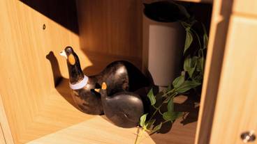 施設内の設備 / 40