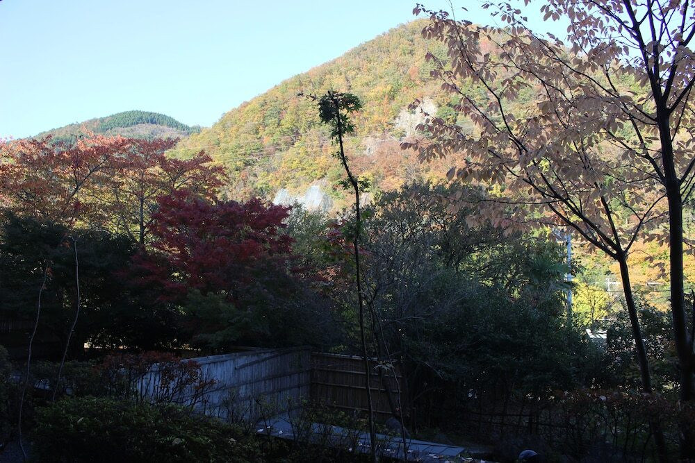 マウンテン ビュー