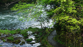 [渓流眺望] 部屋食＆源泉露天風呂付特別室 (2023年新登場)