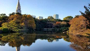 観光スポット / 7