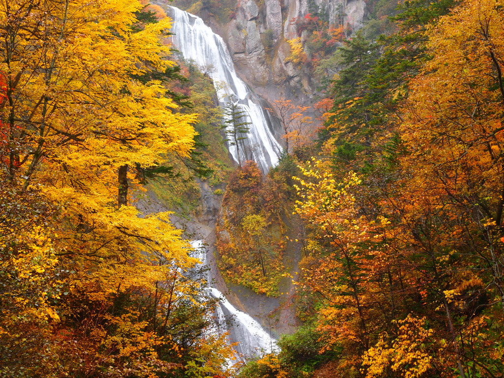 羽衣の滝（北海道　東川町）66151