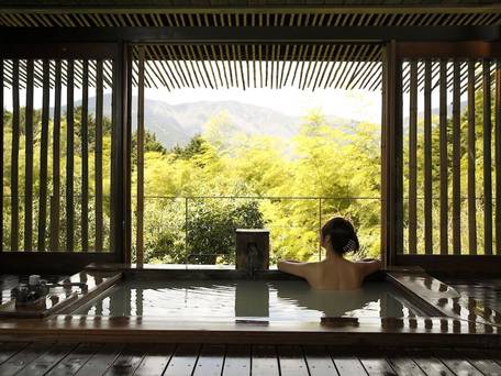 金乃竹 仙石原 / 1