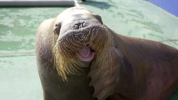 観光スポット / 3