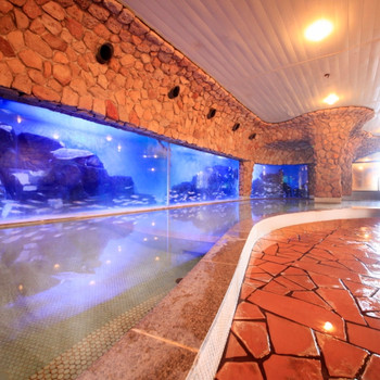 「お魚風呂」とサウナで疲れを一掃！海のそばでのんびりできるリゾート4036588