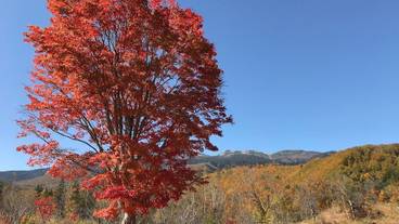 施設の敷地 / 13