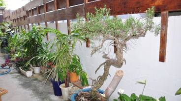 施設の敷地 / 15