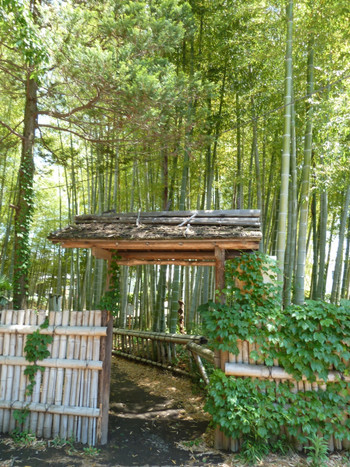まさに都会のオアシス！899848