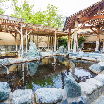 天然温泉の“羽生温泉”が源泉かけながしで楽しめる！3636842