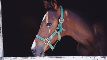 ランド ビュー / 22