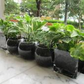 東横イン那覇おもろまち駅前(沖縄県 ビジネスホテル) / 2