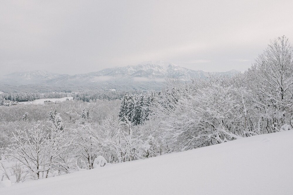 メイン イメージ