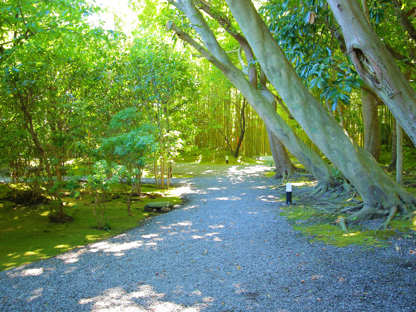 8室のみの隠れ宿。古民家調の離れでプライベートなひとときを満喫♪3572006