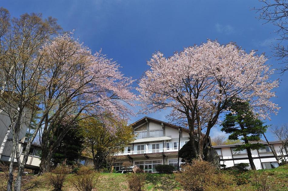 Sakura and Ohira Hotel-1