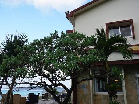 ホテルオーシャンズ 今帰仁 / 4