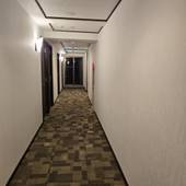 東横インアキバ浅草橋駅東口(東京都 ビジネスホテル) / 3