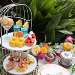 【大阪】飲み放題や〇〇無料！わがままを叶えるサービス充実のコスパホテル7選