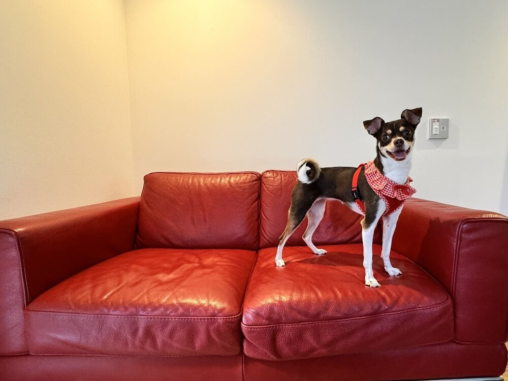 ペット用設備・サービス