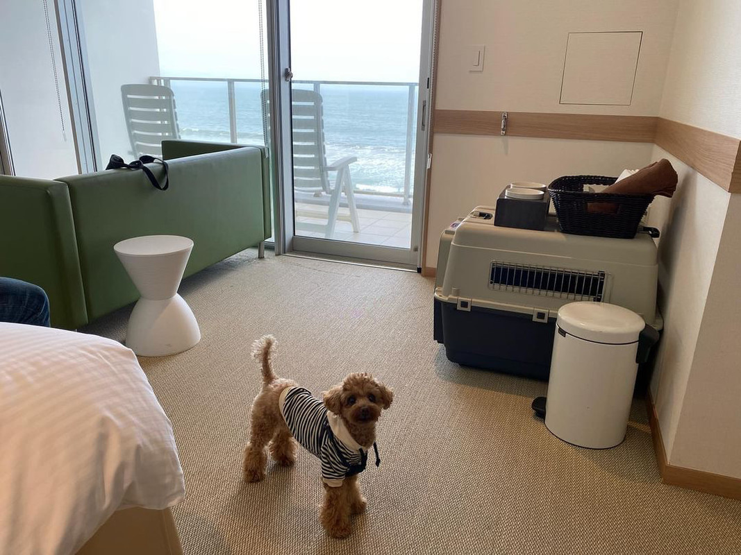 fuutan0130さんの写真 / 1