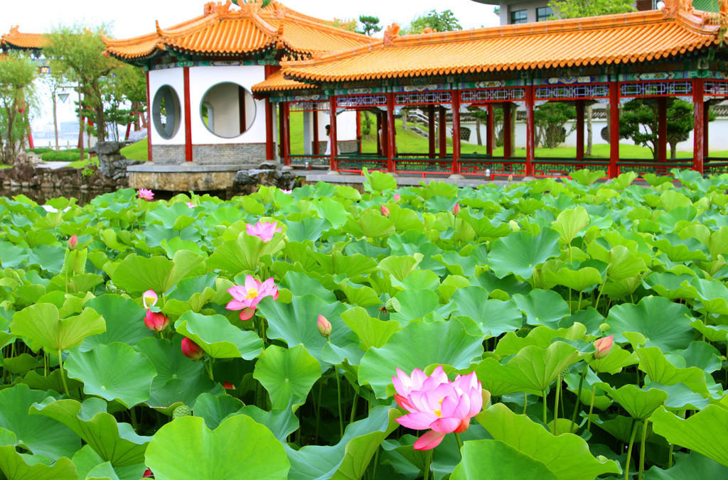 中国風情を感じる湖上の温泉「東郷温泉」4085338