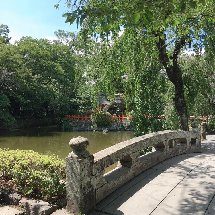 4rerjoseさんの写真 / 2