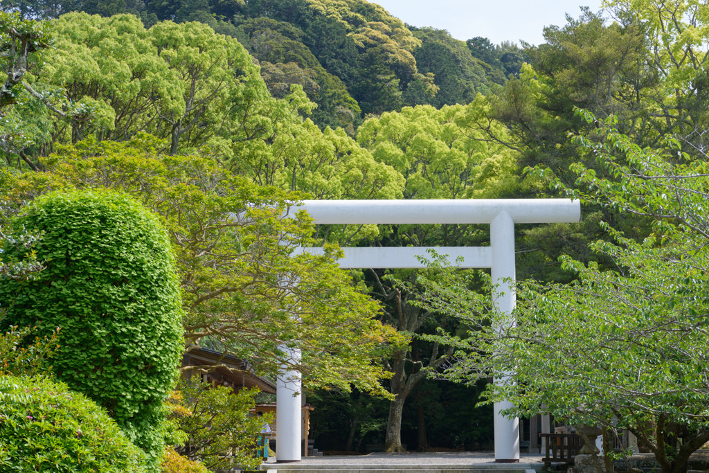 都心から２時間！「館山」へ気軽に一人旅3976874