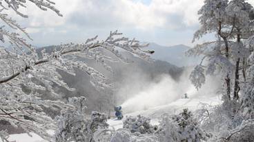 スノー スポーツとスキー / 13