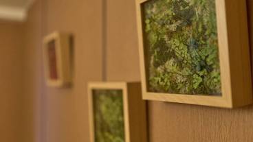 リビング エリア / 30