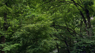 ビジネス ツインルーム 禁煙