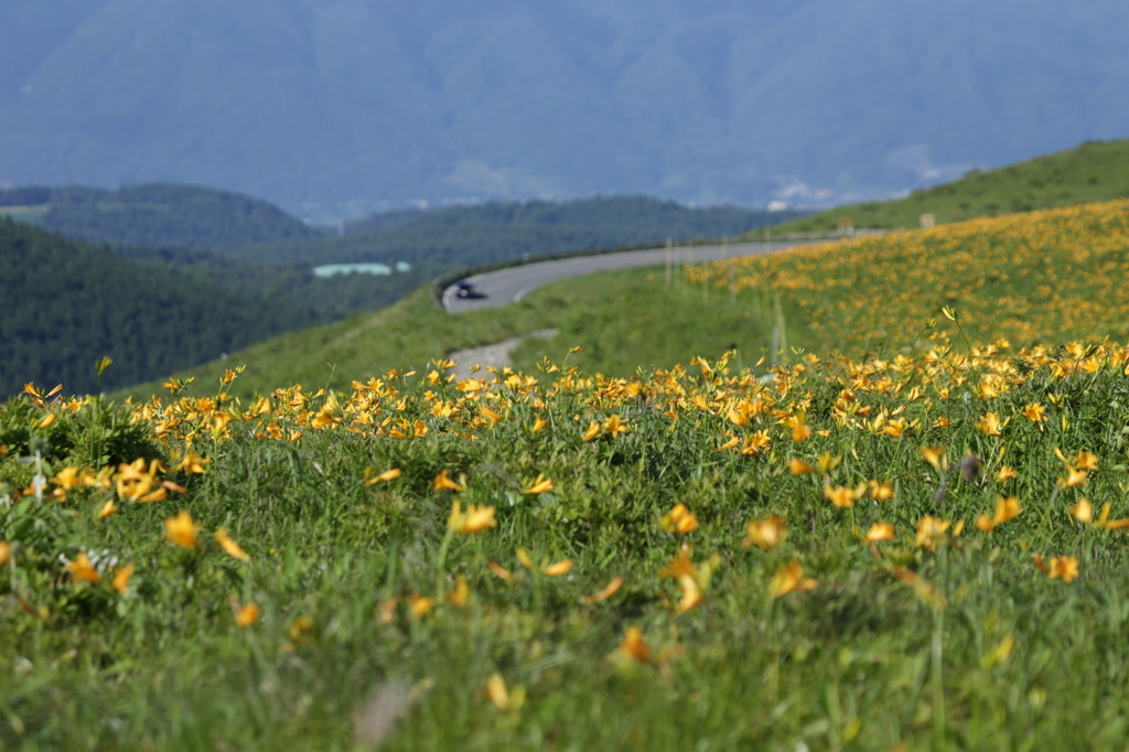 涼を求めてビーナスラインへ出かけよう680718
