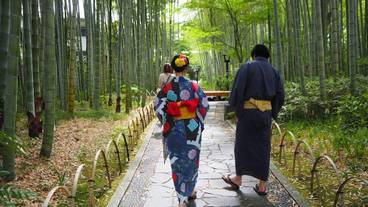 観光スポット / 14