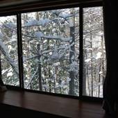 White Tree Lodge（長野県 コテージ・ロッジ・一棟貸） / 4