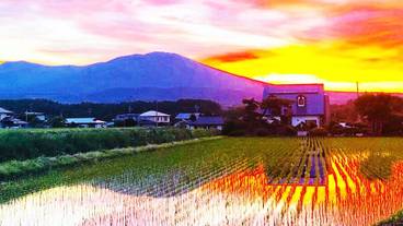 施設の敷地 / 35