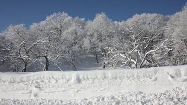施設からの眺望 / 25