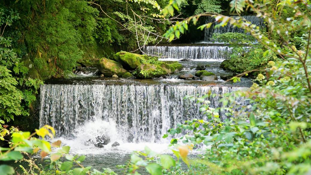 蛇骨川のせせらぎに
耳を傾け二人で散策 / 1