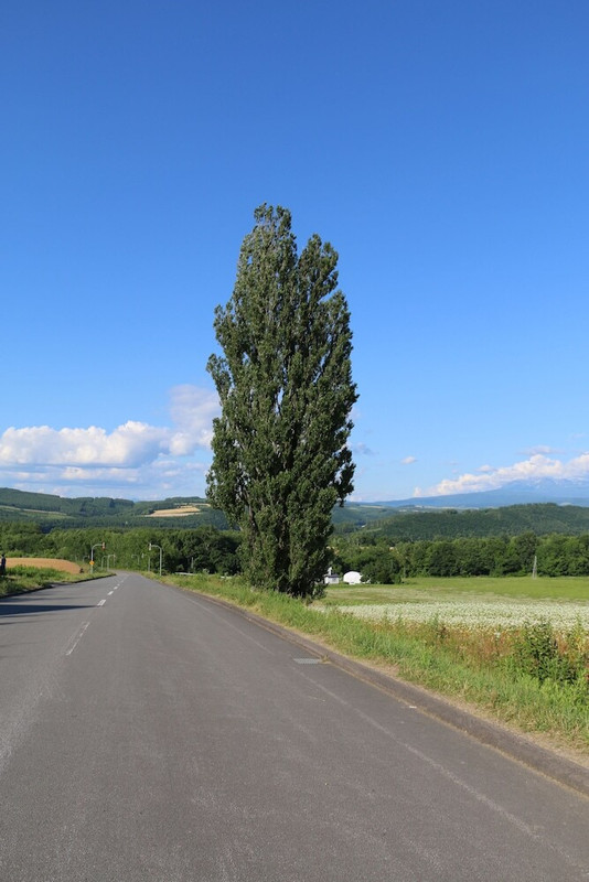 施設からの眺望