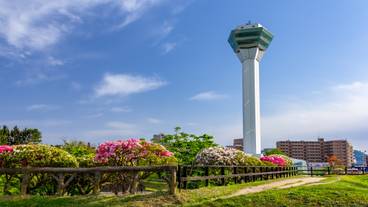 五稜郭タワー / 5