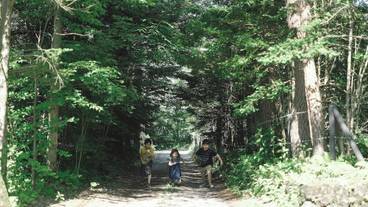 施設の敷地 / 19