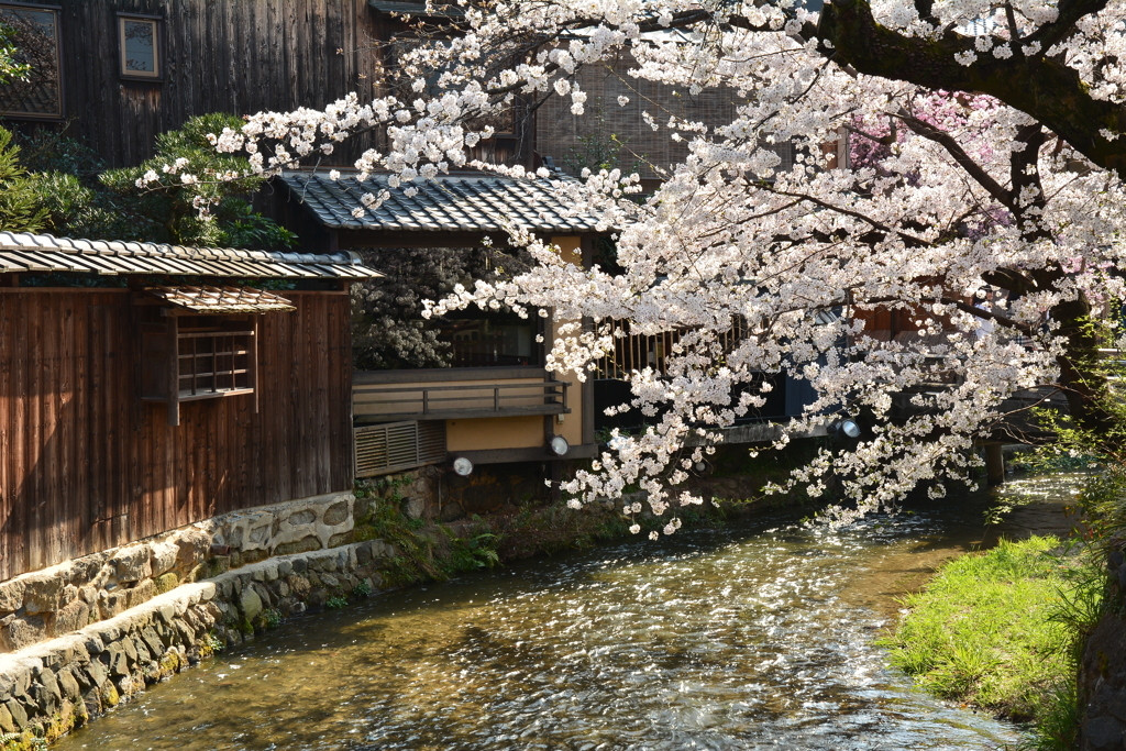 次の京都旅は、一棟貸しでプライベートな癒し時間を2388253