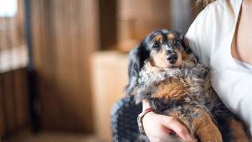 バスルーム / 32