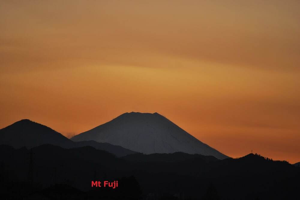 施設からの眺望